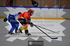 ref. photo 3542471