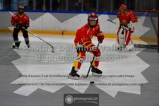 ref. photo 3542485