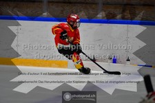 ref. photo 3542521