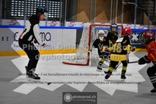 ref. photo 3542533