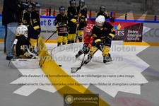 ref. photo 3542534