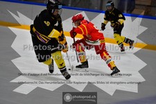 ref. photo 3542542