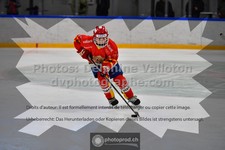ref. photo 3542549