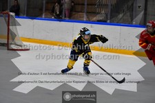 ref. photo 3542600