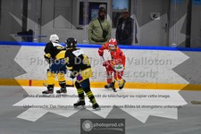 ref. photo 3542616