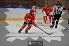 ref. photo 3542680
