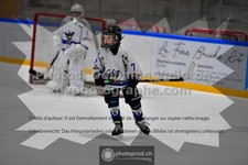 ref. photo 3542701