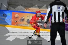 ref. photo 3542730