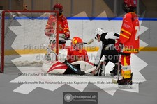 ref. photo 3542750