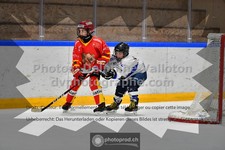 ref. photo 3542753