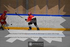 ref. photo 3542784
