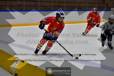 ref. photo 3542801