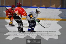 ref. photo 3542821