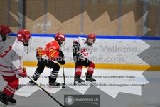 ref. photo 3542849