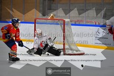 ref. photo 3542894