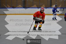 ref. photo 3542968