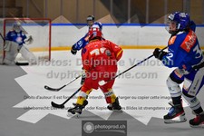 ref. photo 3543001