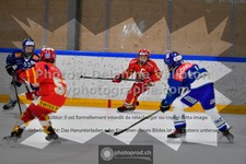 ref. photo 3543013