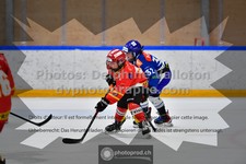 ref. photo 3543017