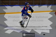 ref. photo 3543033