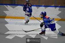 ref. photo 3543042