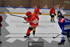ref. photo 3543079