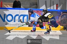 ref. photo 3543111