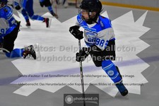 ref. photo 3543203