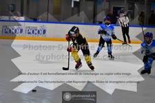 ref. photo 3543254