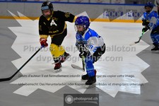 ref. photo 3543255