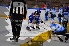 ref. photo 3543313