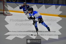 ref. photo 3543362