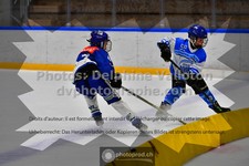 ref. photo 3543406