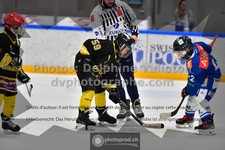 ref. photo 3543497