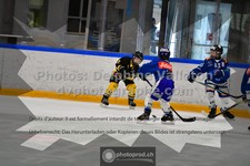 ref. photo 3543505