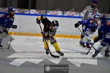 ref. photo 3543516