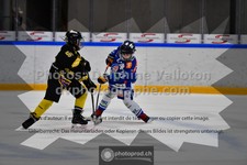 ref. photo 3543542