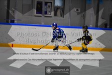 ref. photo 3543551