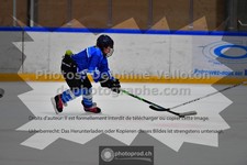 ref. photo 3543631