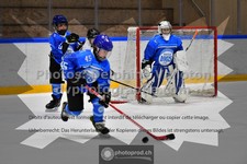 ref. photo 3543635