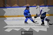 ref. photo 3543639