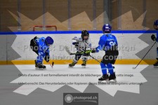 ref. photo 3543647