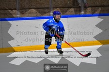 ref. photo 3543649