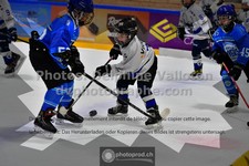 ref. photo 3543683