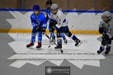 ref. photo 3543688