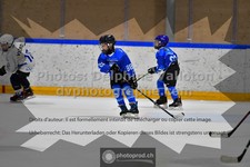 ref. photo 3543695