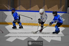 ref. photo 3543696