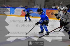 ref. photo 3543741