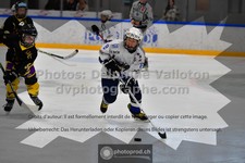 ref. photo 3543911