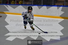 ref. photo 3543925